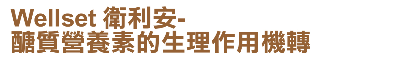 Wellset衛利安-醣質營養素的生理作用機轉